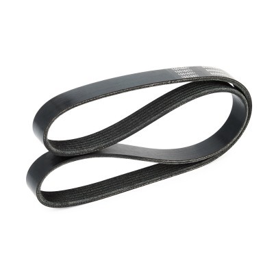 Pasek Klinowy Wielorowkowy RIDEX 305P0359 305P0359 - foto 4