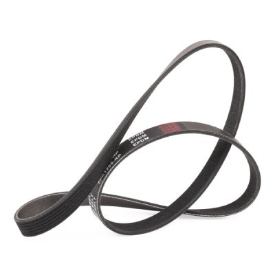 Pasek Klinowy Wielorowkowy RIDEX 305P0396P 305P0396P - foto 3