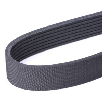 Pasek Klinowy Wielorowkowy RIDEX 305P0509 305P0509 - foto 4