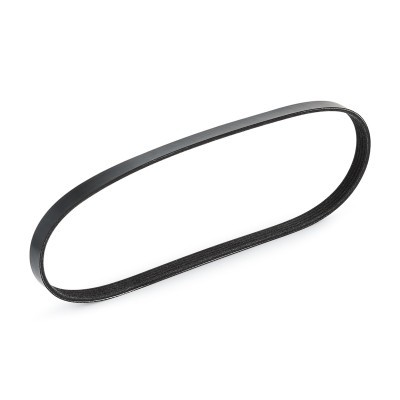 Pasek Klinowy Wielorowkowy RIDEX 305P0125 305P0125 - foto 4