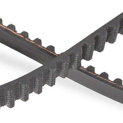 Pasek Rozrządu RIDEX 306T0055P 306T0055P - foto 5