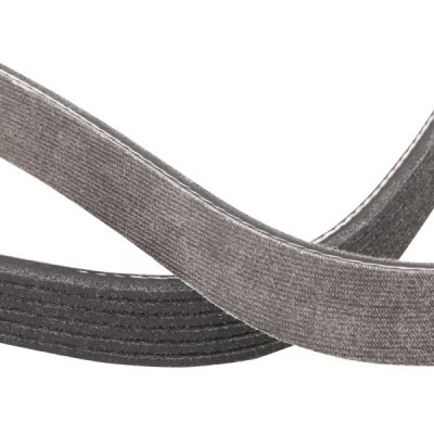 Pasek Klinowy Wielorowkowy RIDEX 305P0208P 305P0208P - foto 5