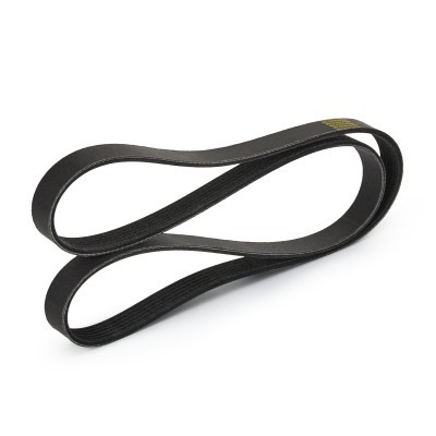 Pasek Klinowy Wielorowkowy RIDEX 305P0182P 305P0182P - foto 4