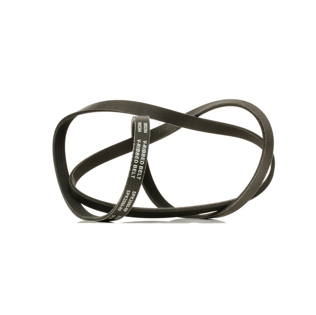 Pasek Klinowy Wielorowkowy RIDEX 305P0149P 305P0149P - foto 1