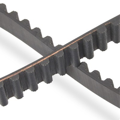 Pasek Rozrządu RIDEX 306T0026P 306T0026P - foto 5