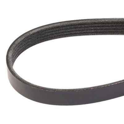 Pasek Klinowy Wielorowkowy RIDEX 305P0329 305P0329 - foto 3