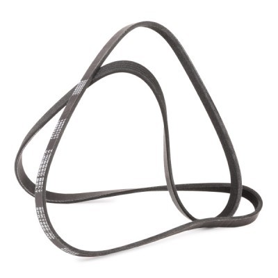 Pasek Klinowy Wielorowkowy RIDEX 305P0315P 305P0315P - foto 3