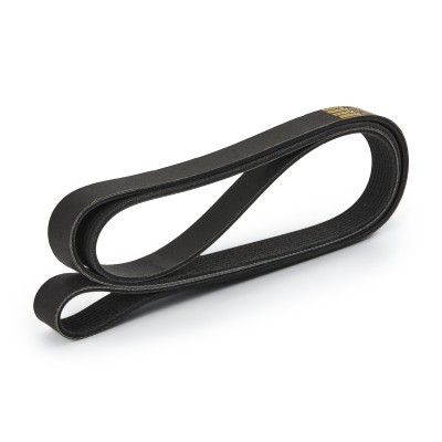 Pasek Klinowy Wielorowkowy RIDEX 305P0491P 305P0491P - foto 4