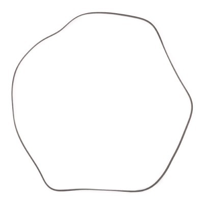 Pasek Klinowy Wielorowkowy RIDEX 305P0101P 305P0101P - foto 4