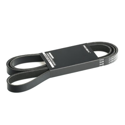 Pasek Klinowy Wielorowkowy RIDEX 305P0243 305P0243 - foto 2