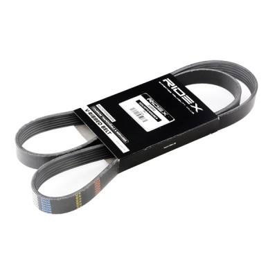Pasek Klinowy Wielorowkowy RIDEX 305P0179 305P0179 - foto 3