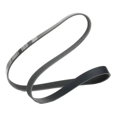 Pasek Klinowy Wielorowkowy RIDEX 305P0523 305P0523 - foto 3