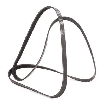 Pasek Klinowy Wielorowkowy RIDEX 305P0185P 305P0185P - foto 3
