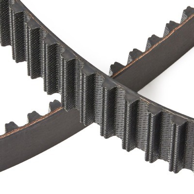 Pasek Rozrządu RIDEX 306T0122P 306T0122P - foto 5