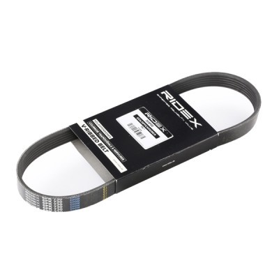 Pasek Klinowy Wielorowkowy RIDEX 305P0195 305P0195 - foto 2