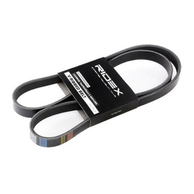 Pasek Klinowy Wielorowkowy RIDEX 305P0156 305P0156 - foto 2