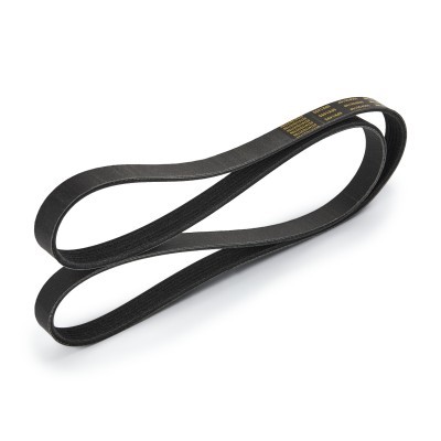 Pasek Klinowy Wielorowkowy RIDEX 305P0519P 305P0519P - foto 3