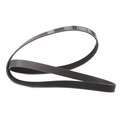 Pasek Klinowy Wielorowkowy RIDEX 305P0224P 305P0224P - foto 3