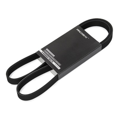 Pasek Klinowy Wielorowkowy RIDEX 305P0556 305P0556 - foto 2