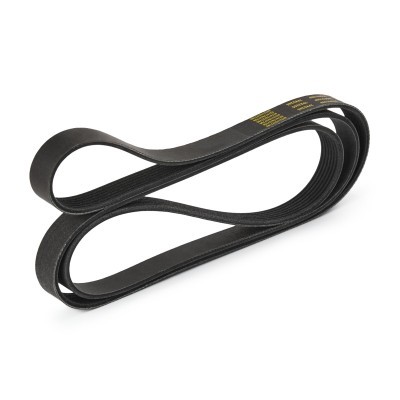 Pasek Klinowy Wielorowkowy RIDEX 305P0108P 305P0108P - foto 4