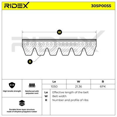 Pasek Klinowy Wielorowkowy RIDEX 305P0055 305P0055 - foto 6