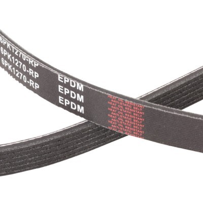 Pasek Klinowy Wielorowkowy RIDEX 305P0289P 305P0289P - foto 5