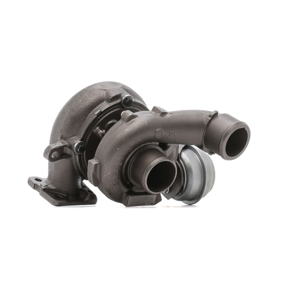 Turbina (Turbosprężarka) RIDEX 2234C10469R 2234C10469R - foto 1