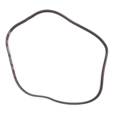 Pasek Klinowy Wielorowkowy RIDEX 305P0077P 305P0077P - foto 4