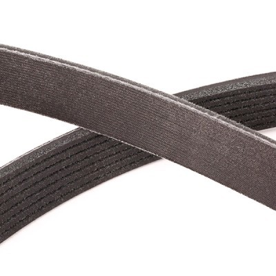Pasek Klinowy Wielorowkowy RIDEX 305P0419P 305P0419P - foto 5
