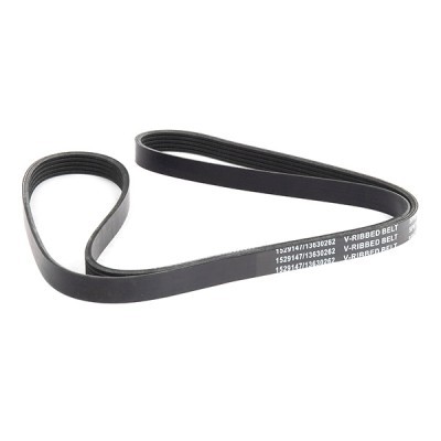 Pasek Klinowy Wielorowkowy RIDEX 305P0196 305P0196 - foto 3