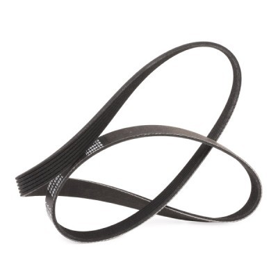 Pasek Klinowy Wielorowkowy RIDEX 305P0339P 305P0339P - foto 4