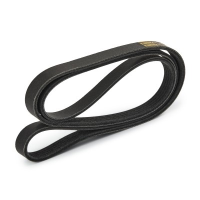 Pasek Klinowy Wielorowkowy RIDEX 305P0575P 305P0575P - foto 3