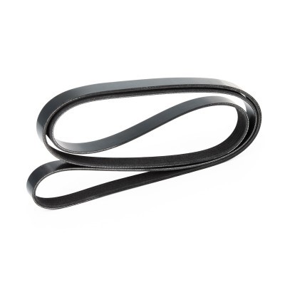 Pasek Klinowy Wielorowkowy RIDEX 305P0119 305P0119 - foto 4