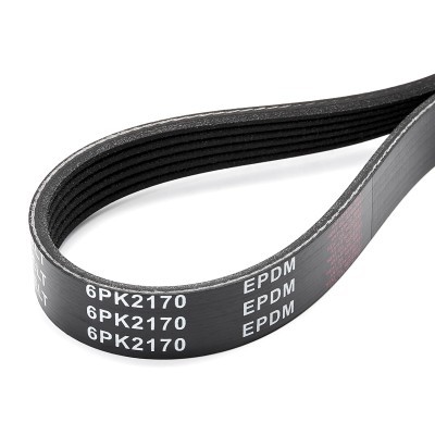 Pasek Klinowy Wielorowkowy RIDEX 305P0248 305P0248 - foto 5