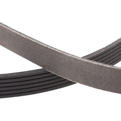 Pasek Klinowy Wielorowkowy RIDEX 305P0216P 305P0216P - foto 6