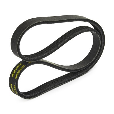 Pasek Klinowy Wielorowkowy RIDEX 305P0008P 305P0008P - foto 4