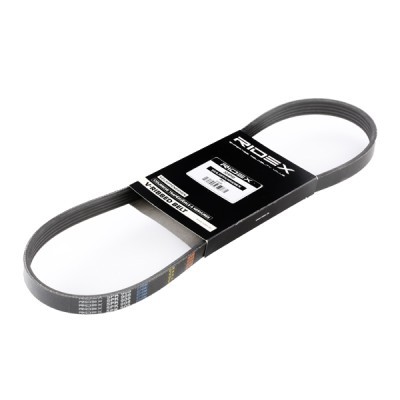 Pasek Klinowy Wielorowkowy RIDEX 305P0028 305P0028 - foto 2