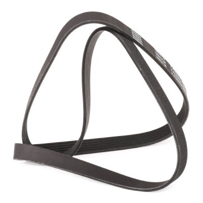 Pasek Klinowy Wielorowkowy RIDEX 305P0175P 305P0175P - foto 3