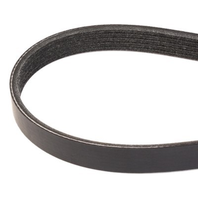 Pasek Klinowy Wielorowkowy RIDEX 305P0336 305P0336 - foto 3