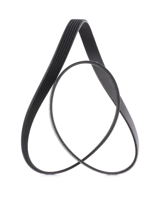 Pasek Klinowy Wielorowkowy RIDEX 305P0302P 305P0302P - foto 1