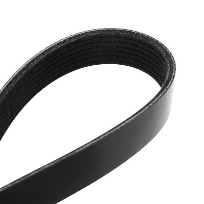 Pasek Klinowy Wielorowkowy RIDEX 305P0200 305P0200 - foto 5