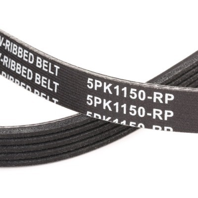 Pasek Klinowy Wielorowkowy RIDEX 305P0152P 305P0152P - foto 5