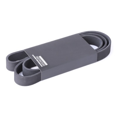 Pasek Klinowy Wielorowkowy RIDEX 305P0444 305P0444 - foto 2