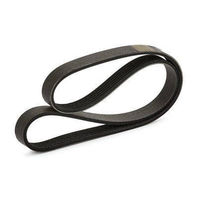 Pasek Klinowy Wielorowkowy RIDEX 305P0794P 305P0794P - foto 2