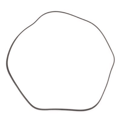 Pasek Klinowy Wielorowkowy RIDEX 305P0147P 305P0147P - foto 4