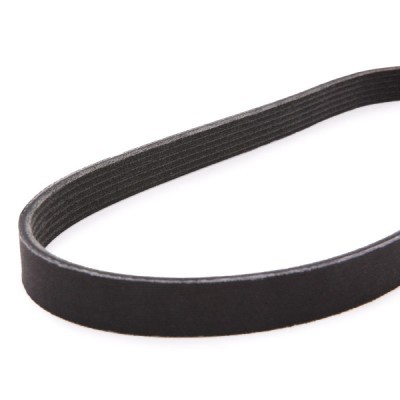 Pasek Klinowy Wielorowkowy RIDEX 305B0283P 305B0283P - foto 4