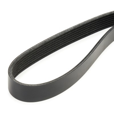 Pasek Klinowy Wielorowkowy RIDEX 305P0571 305P0571 - foto 4