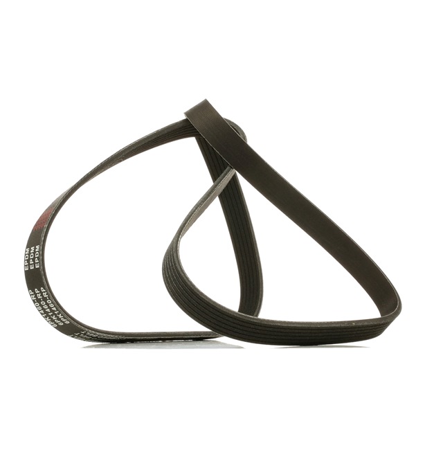 Pasek Klinowy Wielorowkowy RIDEX 305P0175P 305P0175P - foto 1