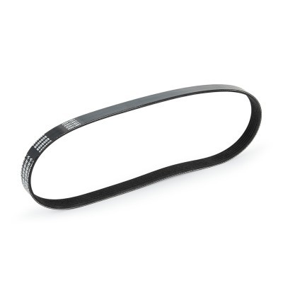 Pasek Klinowy Wielorowkowy RIDEX 305P0134 305P0134 - foto 4