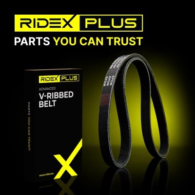 Pasek Klinowy Wielorowkowy RIDEX 305P0129P 305P0129P - foto 13